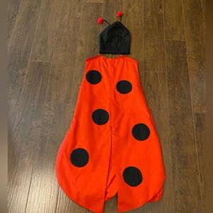 Ladybug costume